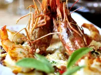 Hostellerie du Causse Hotels in Gramat