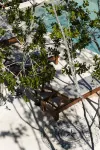 Sanyama Holbox - Apartment