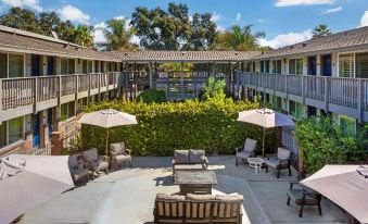 Best Western Shadow Inn