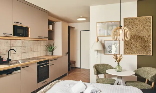 Homebound Apartments Bad Goisern - Contactless Check-IN