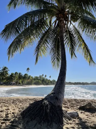 Beautiful Oceanfront  2 bedroom, 2 bath condo Aguada, PR Отели в г. Каррисаль