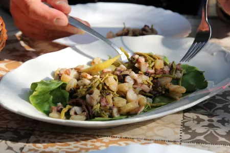 Rural Pension Istra Partner