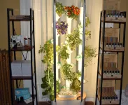 Inn at the Agora Hotels in Androscoggin County