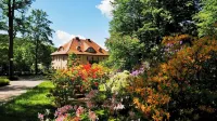 Rezydencja Grawert Boutique & Spa
