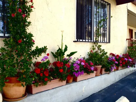 Harvey's Motel Sdsu la Mesa San Diego Отели рядом с достопримечательностью «Гора Коулс»