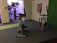 Parkhotel Tannenhof - Gym