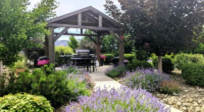 Lone Point Cellars