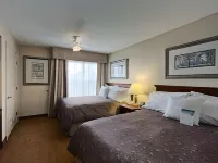 Homewood Suites by Hilton Windsor Locks Hartford Hotels in Windsor Locks