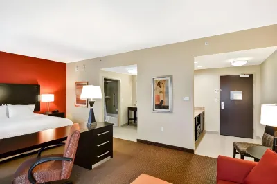 Hampton Inn & Suites Tampa Northwest/Oldsmar Hotels in Oldsmar