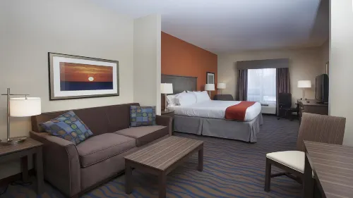 Holiday Inn Express & Suites Morgan City - Tiger Island Hotels in Morgan City
