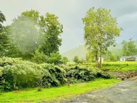 Charming 1940s Cottage Updated-Creek Front-Fire Pit Hotels in Mitchell County