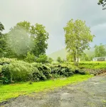 Charming 1940s Cottage Updated-Creek Front-Fire Pit