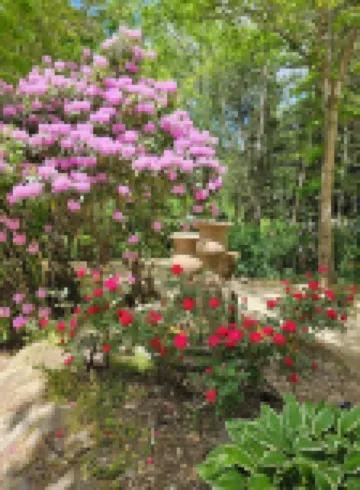 3 bedroom cabin w/hot tub