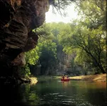 Stylish Cottage central to wineries, Natchez Trace, Buffalo River, Amish Country