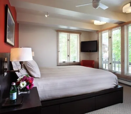 Contemporary Condo in Aspen Core Отели рядом с достопримечательностью «Aspen Highlands»