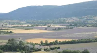 Gite at the foot of Mont Ventoux, between Sault, gorges de la Nesque and Monieux Hotels in Monieux