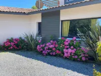 Large Villa with Sea Pool Promo Last Mint Hotels in Messanges