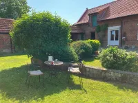 The cat on the broom