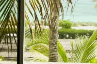 Bliss Ocean Beach 3-bedroom condo, Whitby, North Caicos. Hotels near Cottage Pond