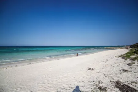 Yellow Canary Beach Resort