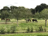 FAMILY HOME BETWEEN SEA AND COUNTRYSIDE Hotels in Blainville-sur-Mer