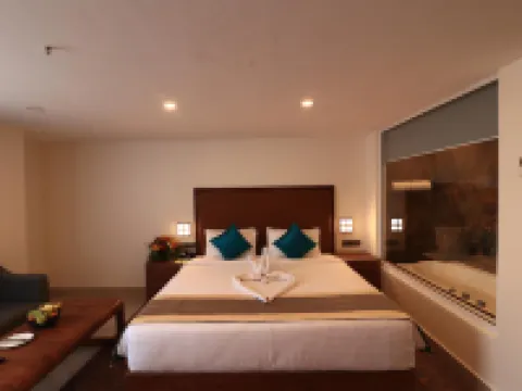 Seven Hills Hotel Hotels in Puri