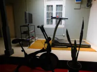 Spring Shannon Heritage