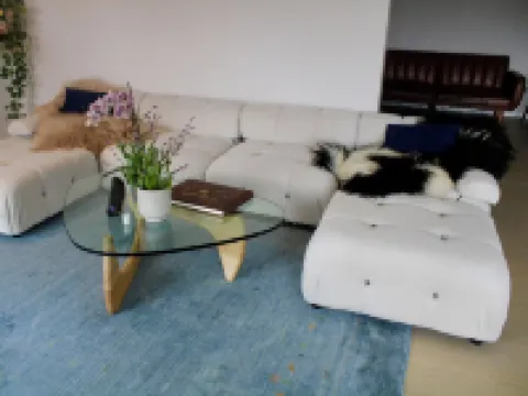 Modern Cabin Close to Everything