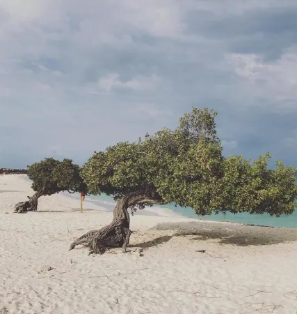 3 bedroom Villa. Sun and Fun. 5 minute walk to beach.