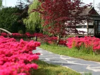 De Bronsbergen Boutique Wellness & Hotel Hotels in Zutphen