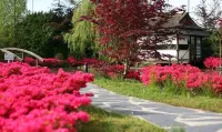 De Bronsbergen Boutique Wellness & Hotel Hotels in Olburgen