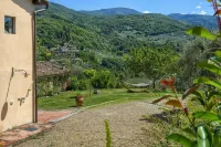 Villa with private swimming pool on the Florentine hills 25 Km from Florence Hotels in Pelago