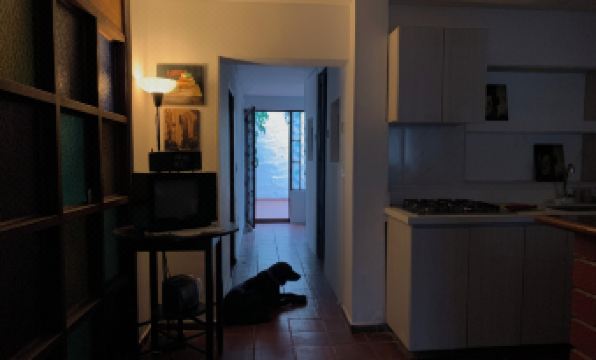 El Solar Hostel - Comuna 13, Graffitour