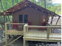 BEARADISE “Glamping Paradise”