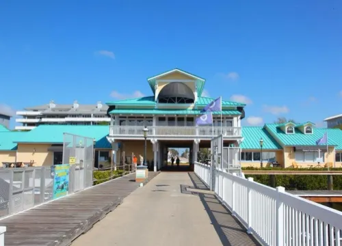 Endless summer in beautiful house with heated pool