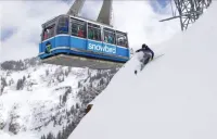 Charming 3 bedroom Basement unit with independent entry with washer & Dryer