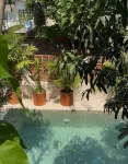 Maison de Reve - Boutique Guest House - Ocean View