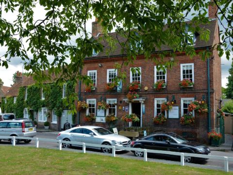 ฟอลคอน อินน์