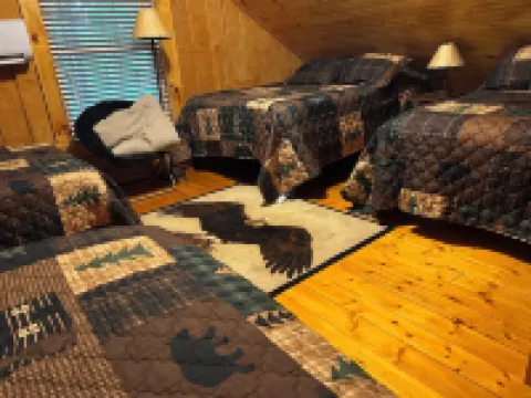 Eagle's Landing - 距帕託卡湖數分鐘帶睡眠閣樓的一卧室小木屋