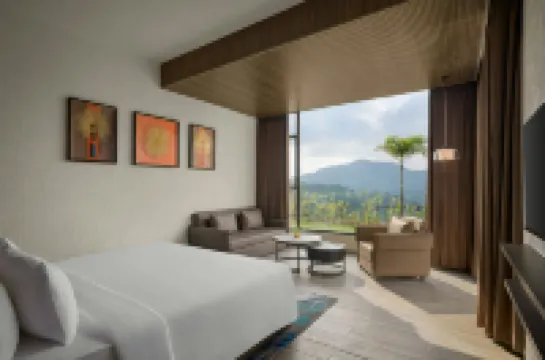 The Fern Heaven on the Hills Hatgad-Saputara, Series by Marriott