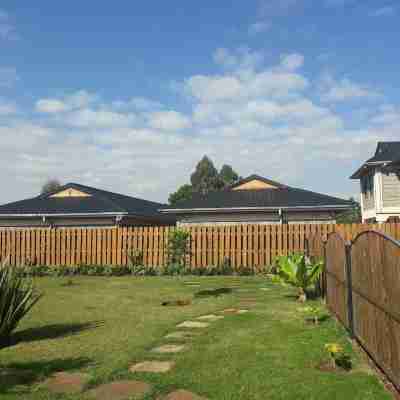 Jafra Elephant inn Hotel Exterior