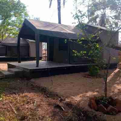 Royal South Luangwa Safaris Lodge Hotel Exterior
