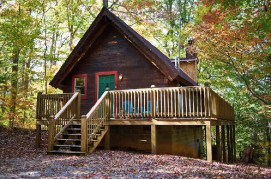 A Cabin in the Woods