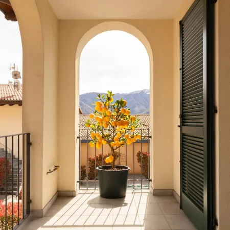 Serenity Como Lake View Apartment with Pool