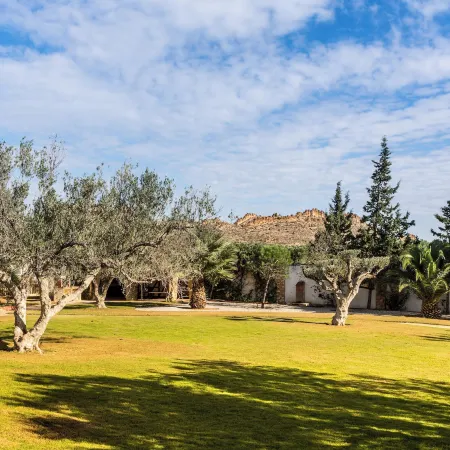 Muses Hammamet Villa 5 Bedrooms
