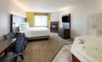 Holiday Inn Express & Suites MINNEAPOLIS-DWTN (CONV CTR) by IHG
