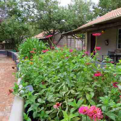 Damara Mopane Lodge Hotel Exterior
