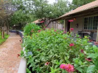 Damara Mopane Lodge - Homestays