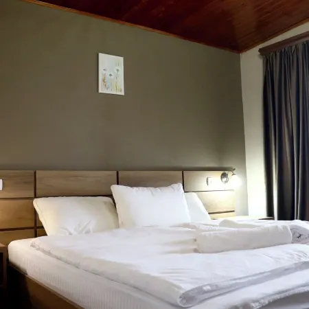 Hotel Horizont Telavi