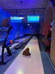 Hotel Staropolska - Pet-friendly